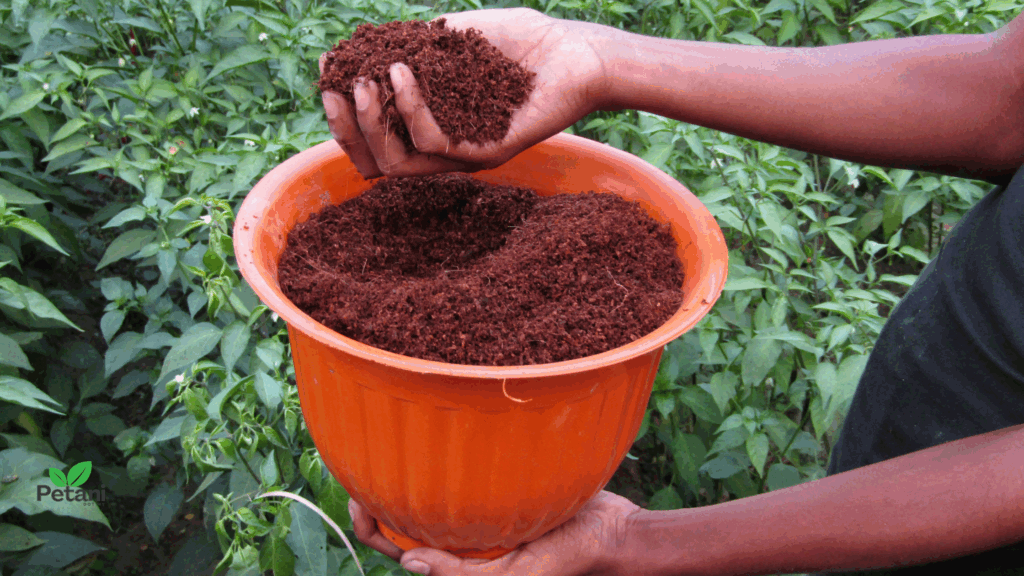 Kegunaan cocopeat