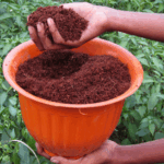 Kegunaan cocopeat